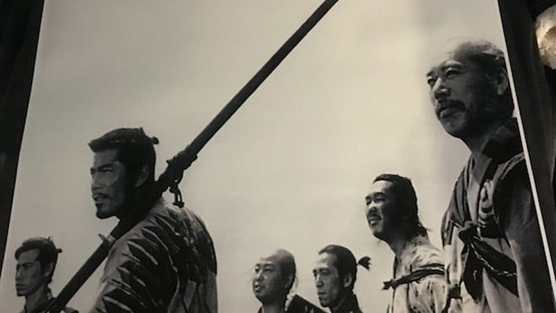 北方冷季型草坪补播复壮，如何提升成活率与景观效果**