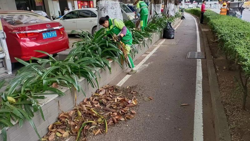 小区园林绿化土建施工流程解析