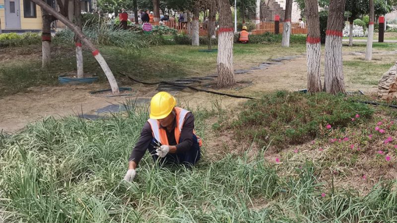 家用自动割草机器人主要依靠以下原理实现自动割草：