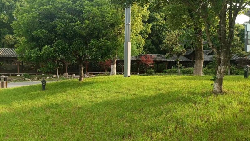 道路绿化验收规范最新版：标准解读与执行要点