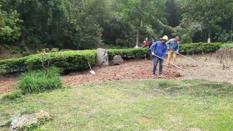 城市道路绿化施工资质等级：标准解读与重要性