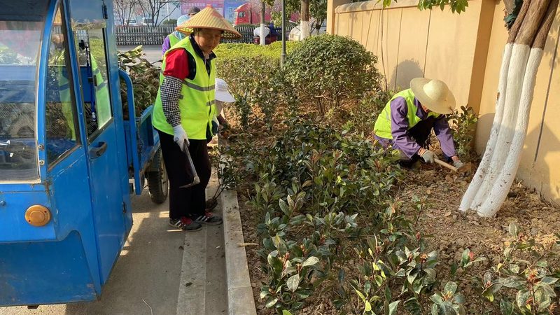 花卉租摆代理：如何搭建高效的合作模式**