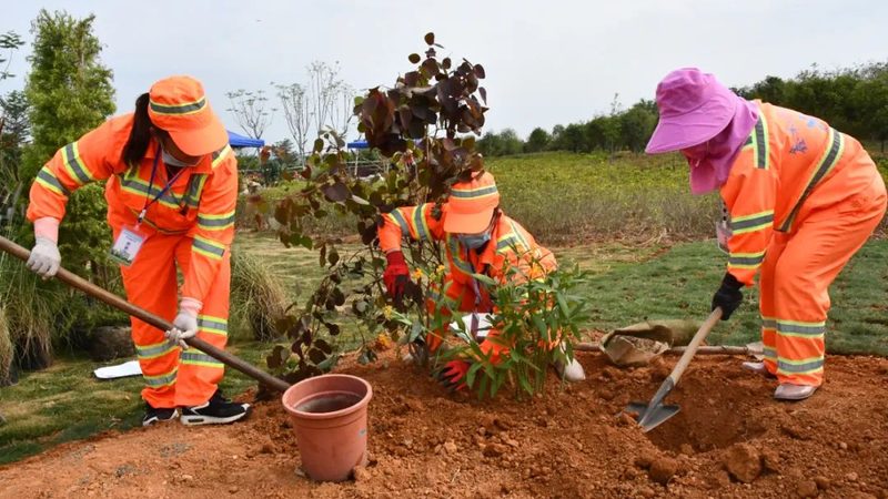 植物租摆与绿化养护：本质区别与关键要点