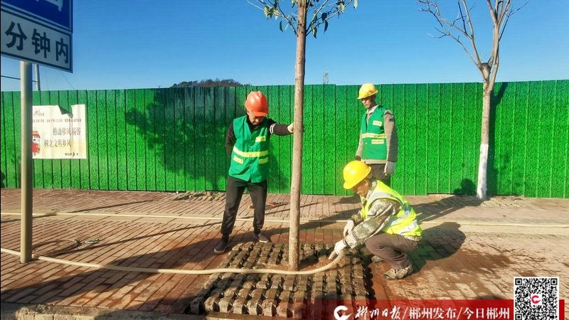 小区绿化验收规范国家标准