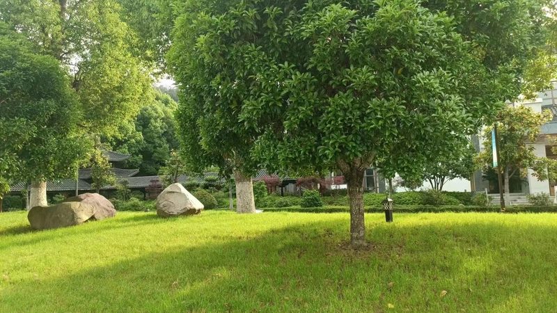 草坪病虫害防治：农药批发选择与使用指南
