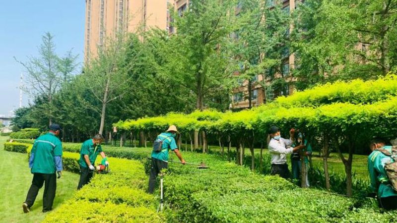 屋顶绿化补贴：屋顶材质分类与选择指南